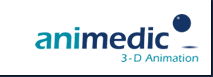animedic – 3-D Animation als innovatives Kommunikationsmittel